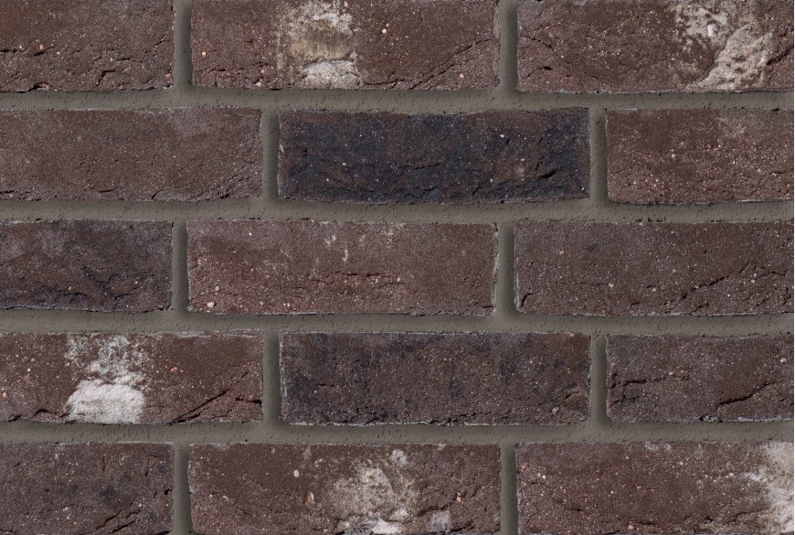 Genesis 390